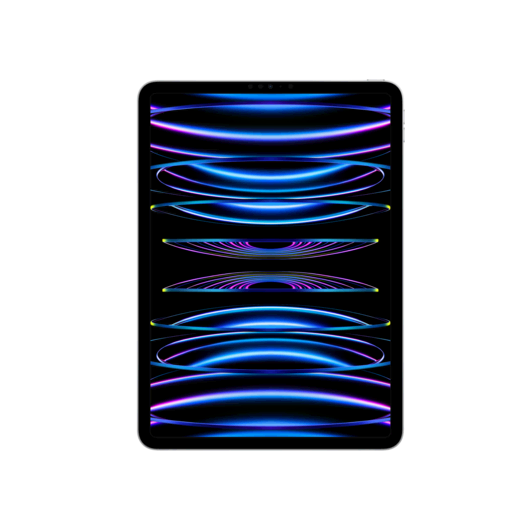 iPad Pro 11 (2022) WF 128GB Gümüş 