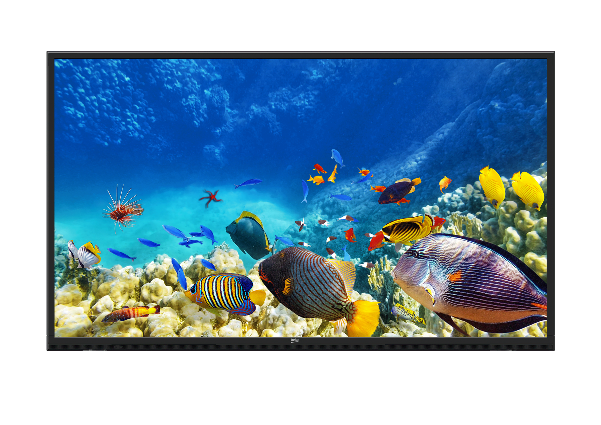 B65K 780G HOTEL TV LED & LCD TV