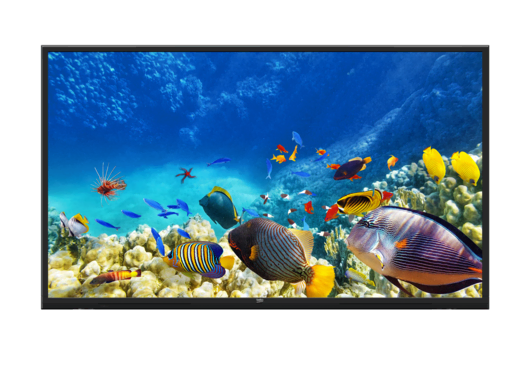 B65K 780G HOTEL TV LED & LCD TV