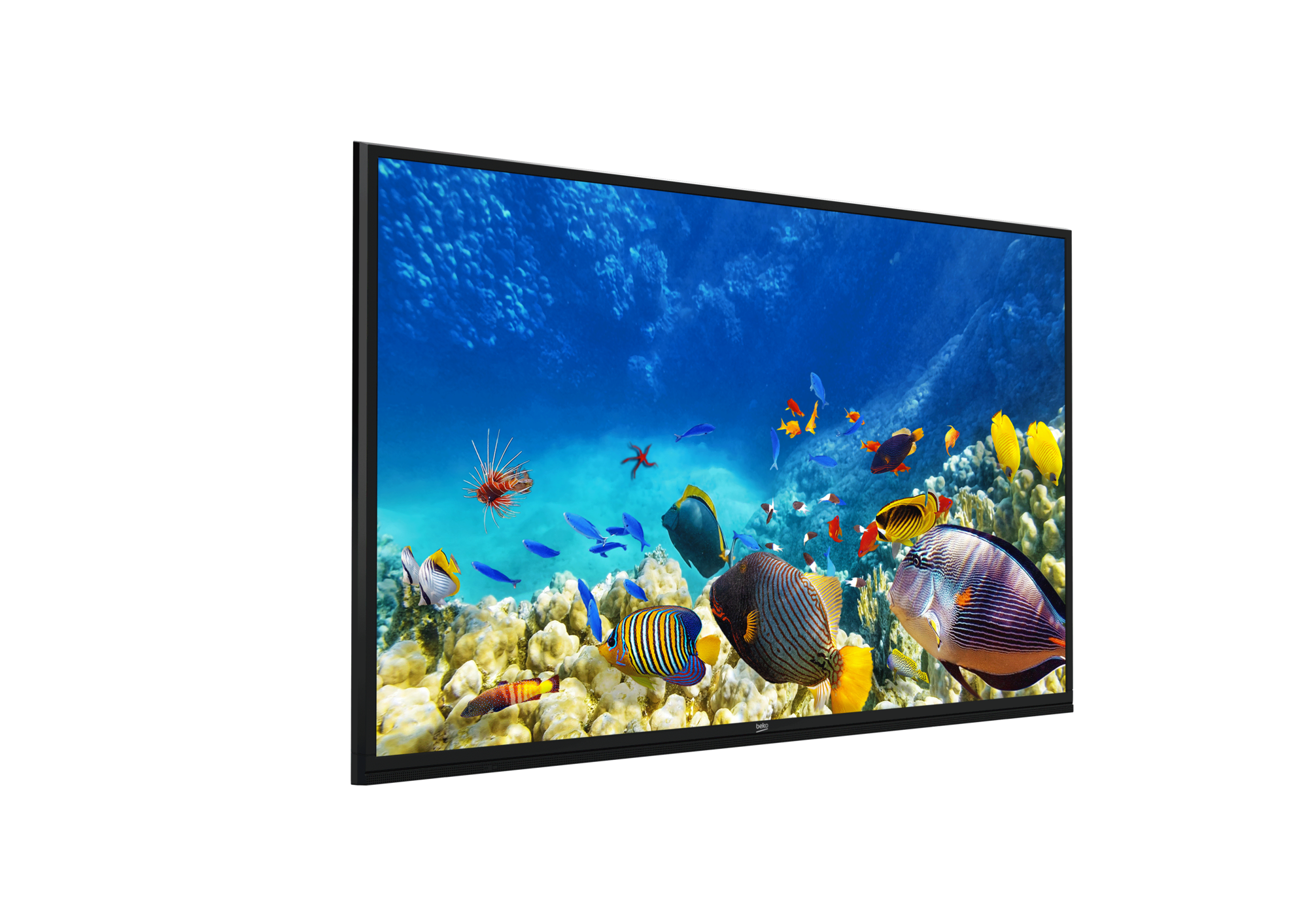 B65K 780G HOTEL TV LED & LCD TV