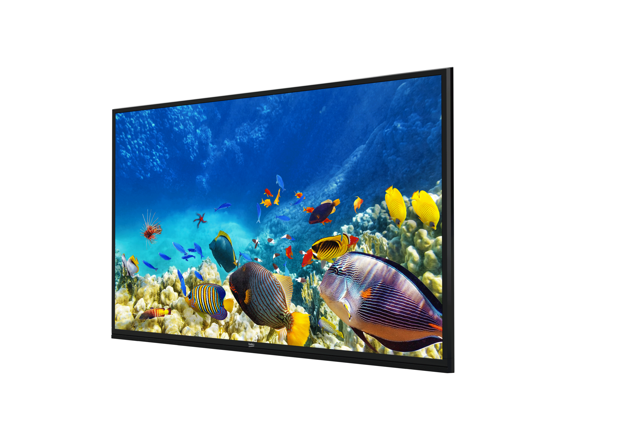 B65K 780G HOTEL TV LED & LCD TV